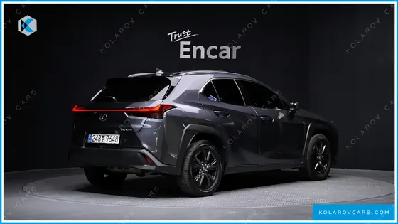 LEXUS UX 2.0 2WD