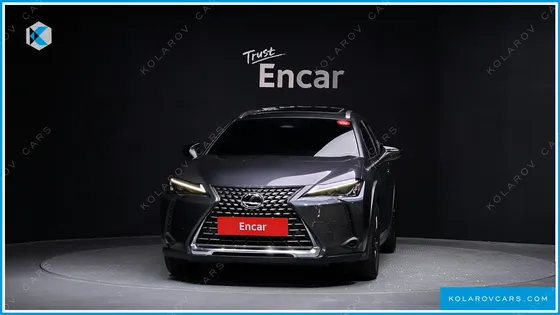 LEXUS UX 2.0 2WD