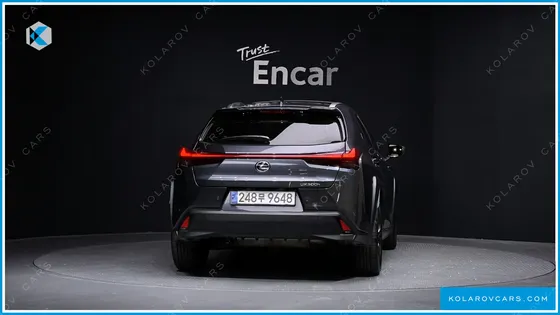 LEXUS UX 2.0 2WD