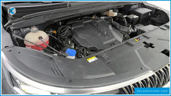 KIA CARNIVAL GASOLINE 9-SEATER LIMOUSINE(SPECIAL VEHICLE)