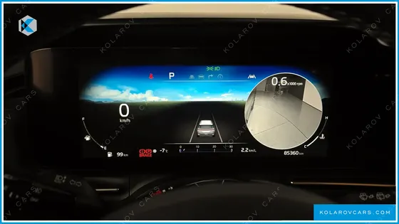 KIA CARNIVAL GASOLINE 9-SEATER LIMOUSINE(SPECIAL VEHICLE)