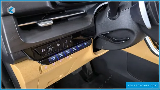 KIA CARNIVAL GASOLINE 9-SEATER LIMOUSINE(SPECIAL VEHICLE)