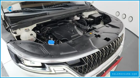 KIA CARNIVAL GASOLINE 7-SEATER HI-LIMOUSINE