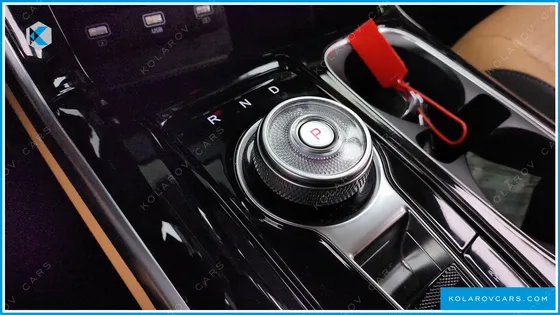 KIA CARNIVAL GASOLINE 9-SEATER SIGNATURE