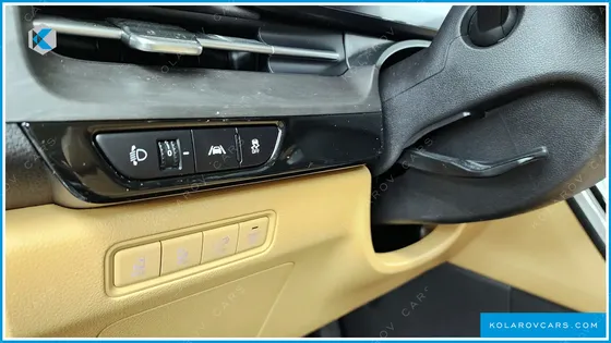 KIA CARNIVAL GASOLINE 9-SEATER SIGNATURE