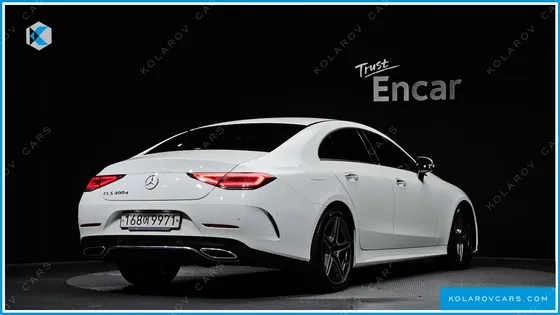 MERCEDES CLS-CLASS CLS300D AMG LINE
