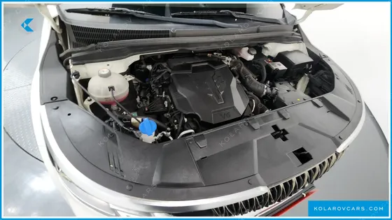 KIA CARNIVAL GASOLINE 7-SEATER HI-LIMOUSINE