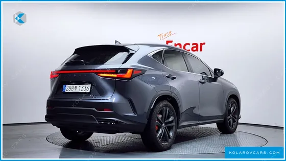 LEXUS NX PREMIUM