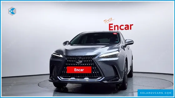 LEXUS NX PREMIUM