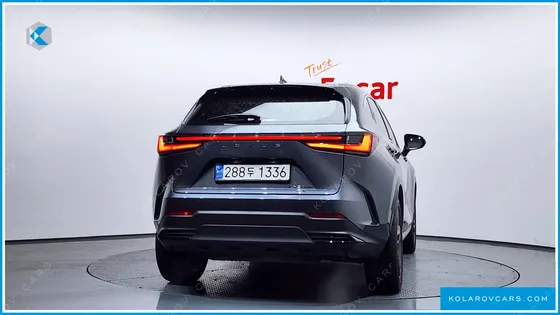 LEXUS NX PREMIUM