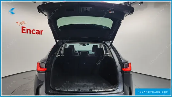 LEXUS NX PREMIUM