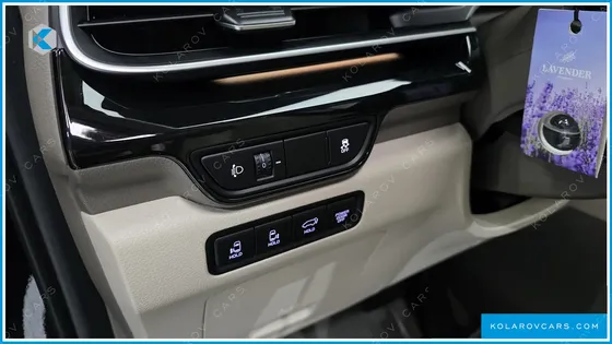 KIA CARNIVAL GASOLINE 9-SEATER SIGNATURE