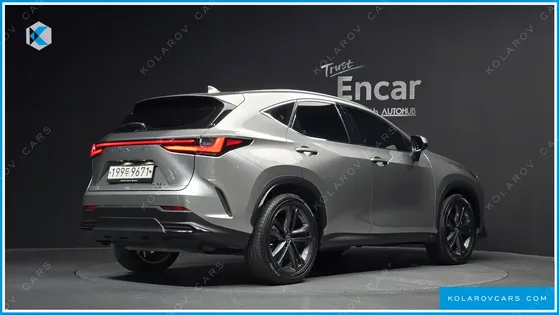 LEXUS NX PREMIUM