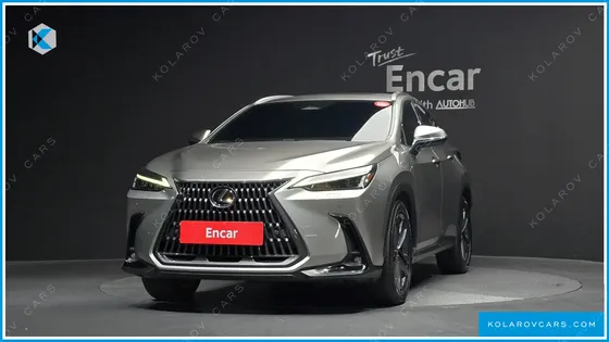 LEXUS NX PREMIUM