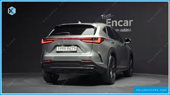 LEXUS NX PREMIUM
