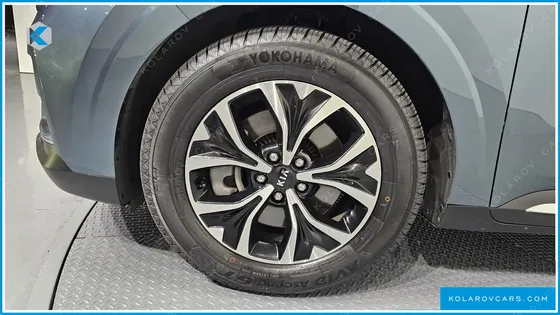 KIA CARNIVAL 9-SEATER SIGNATURE