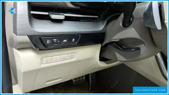 KIA CARNIVAL 9-SEATER SIGNATURE