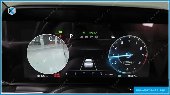 KIA CARNIVAL GASOLINE 9-SEATER SIGNATURE