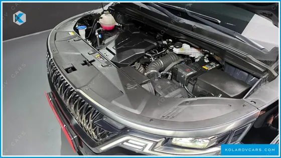 KIA CARNIVAL GASOLINE 9-SEATER SIGNATURE