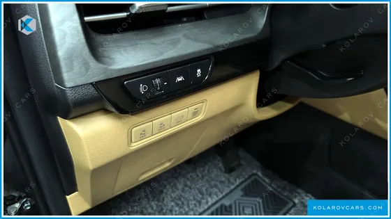 KIA CARNIVAL GASOLINE 9-SEATER SIGNATURE