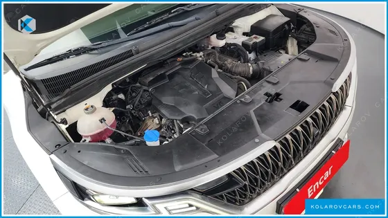KIA CARNIVAL GASOLINE 7-SEATER HI-LIMOUSINE