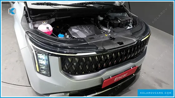 KIA CARNIVAL GASOLINE 9-SEATER NOBLESSE