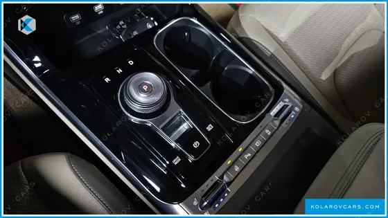 KIA CARNIVAL 9-SEATER HI-LIMOUSINE(SPECIAL VEHICLE)