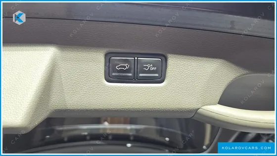 KIA CARNIVAL 9-SEATER HI-LIMOUSINE(SPECIAL VEHICLE)