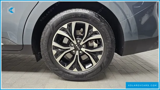 KIA CARNIVAL 9-SEATER NOBLESSE