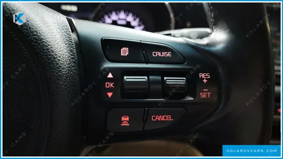 KIA CARNIVAL GASOLINE 9-SEATER NOBLESSE
