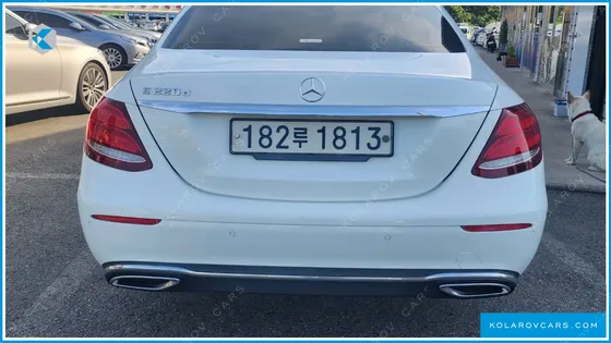 MERCEDES E-CLASS E220 BLUETEC AVANTGARDE