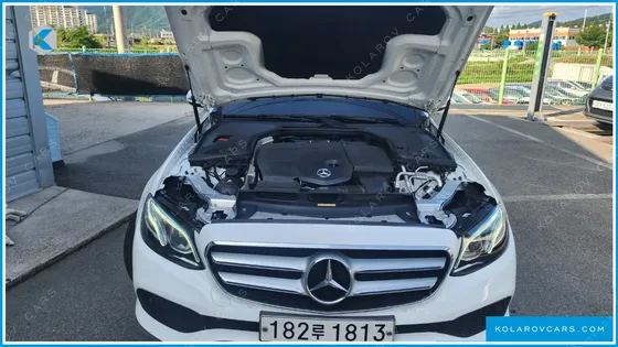 MERCEDES E-CLASS E220 BLUETEC AVANTGARDE