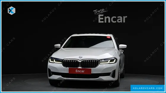 BMW 5 SERIES 530E LUXURY