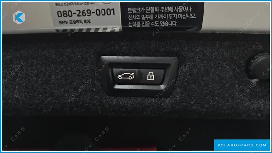 BMW 5 SERIES 530E LUXURY