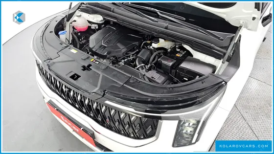KIA CARNIVAL 9-SEATER SIGNATURE