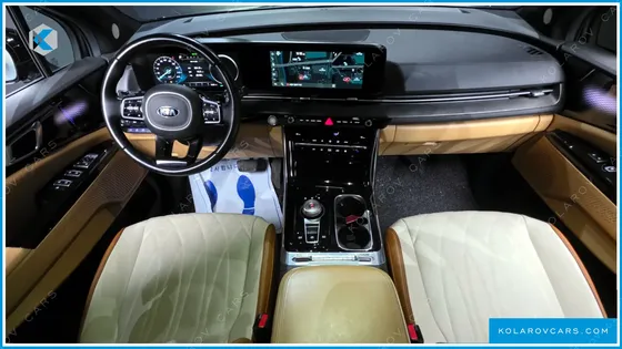 KIA CARNIVAL 9-SEATER HI-LIMOUSINE(SPECIAL VEHICLE)
