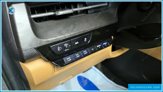 KIA CARNIVAL 9-SEATER HI-LIMOUSINE(SPECIAL VEHICLE)