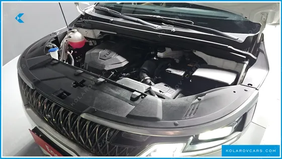 KIA CARNIVAL 9-SEATER NOBLESSE