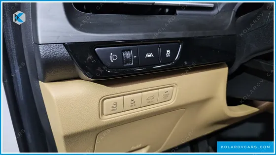 KIA CARNIVAL 9-SEATER NOBLESSE