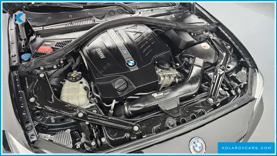 BMW M2 M2 BLACK SHADOW