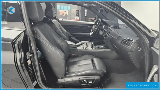 BMW M2 M2 BLACK SHADOW