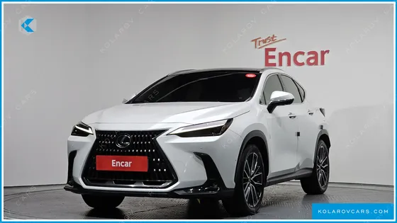 LEXUS NX LUXURY