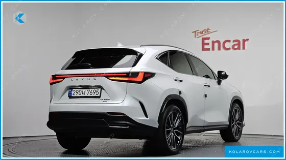 LEXUS NX LUXURY