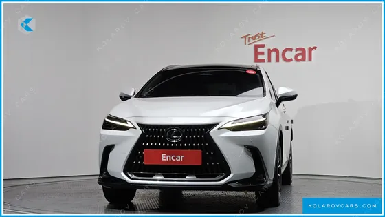 LEXUS NX LUXURY