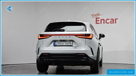 LEXUS NX LUXURY