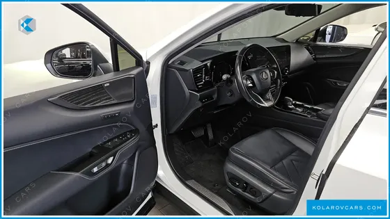 LEXUS NX LUXURY