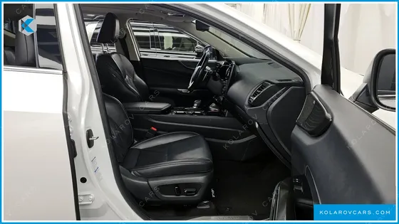 LEXUS NX LUXURY