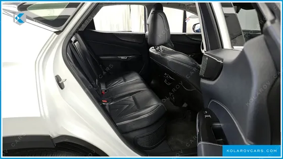 LEXUS NX LUXURY