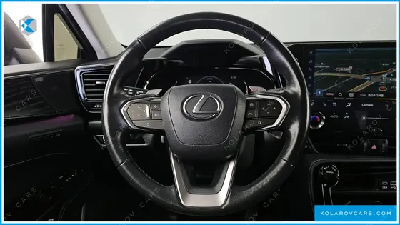 LEXUS NX LUXURY