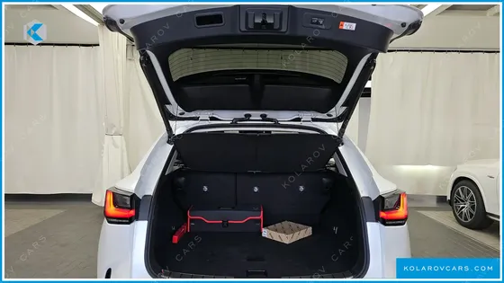 LEXUS NX LUXURY
